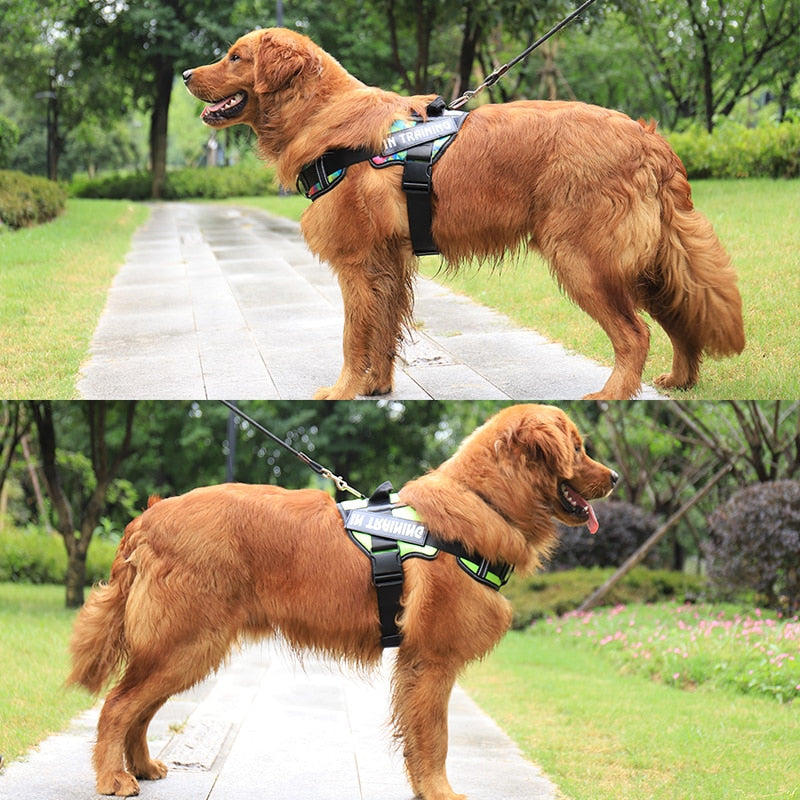 KOMMILIFE Adjustable Nylon Dog Harness Personalized - Luxvetco