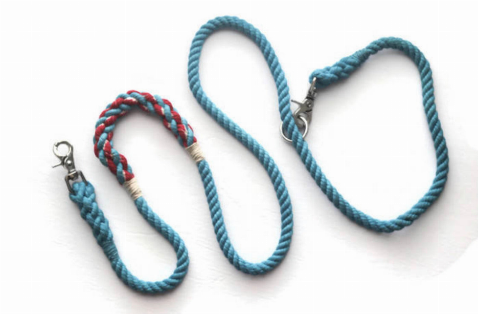 Hands Free Multifunctional Dog Leash - Luxvetco