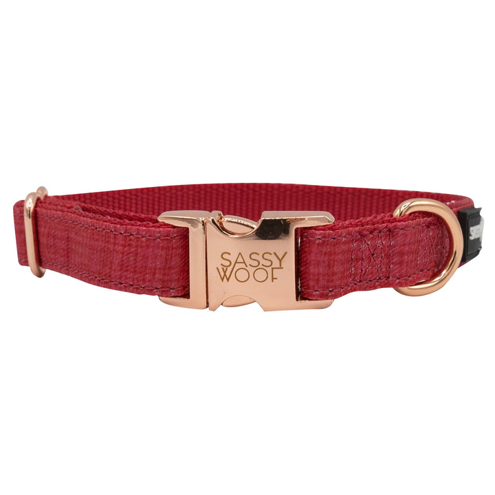 Sassy Woof Collar - Luxvetco