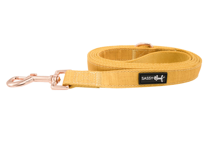 Sassy Woof Leash - Luxvetco