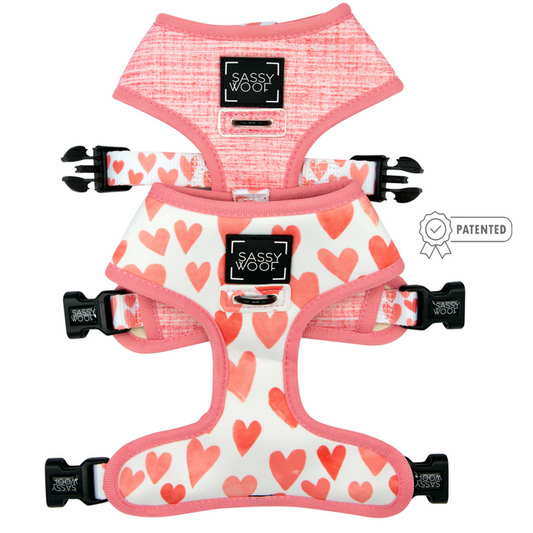 Reversible Harness - Luxvetco