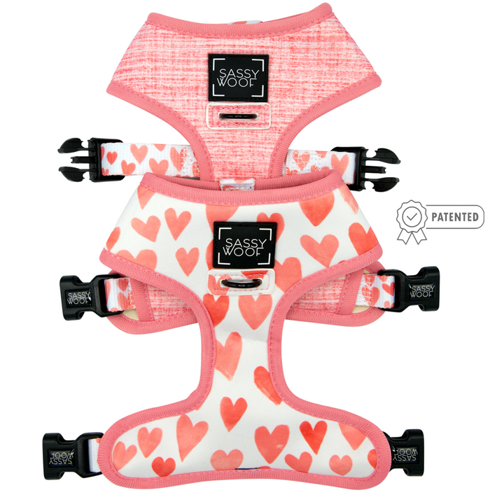 Reversible Harness - Luxvetco