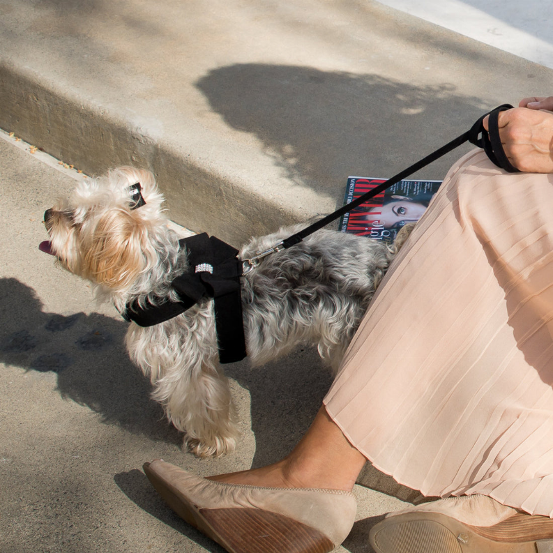 Susan Lanci Designs Plain Leash - Luxvetco
