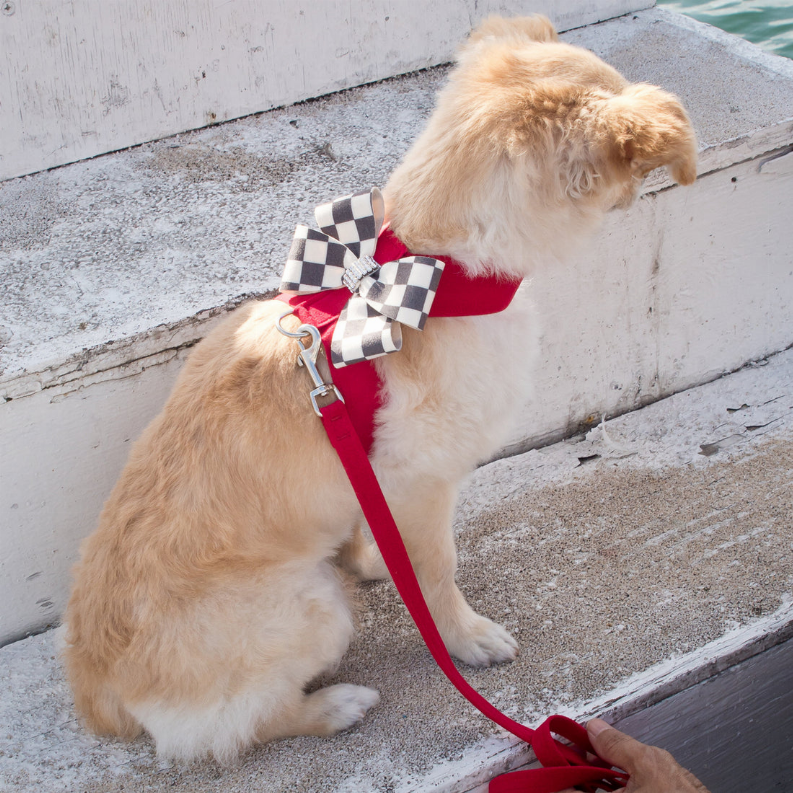 Susan Lanci Designs Plain Leash - Luxvetco