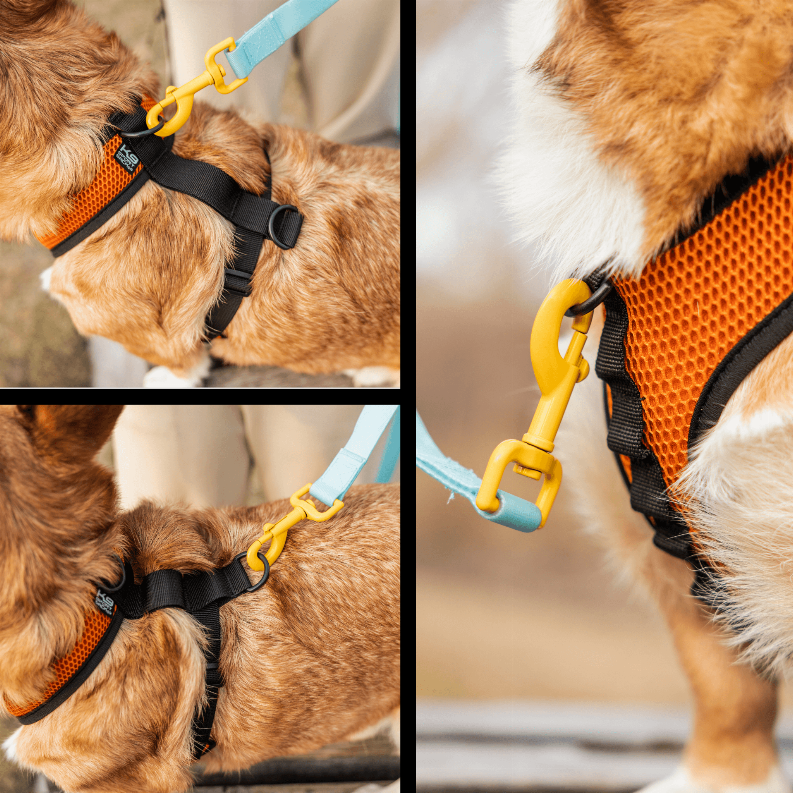 K9 Sport Harness - Luxvetco