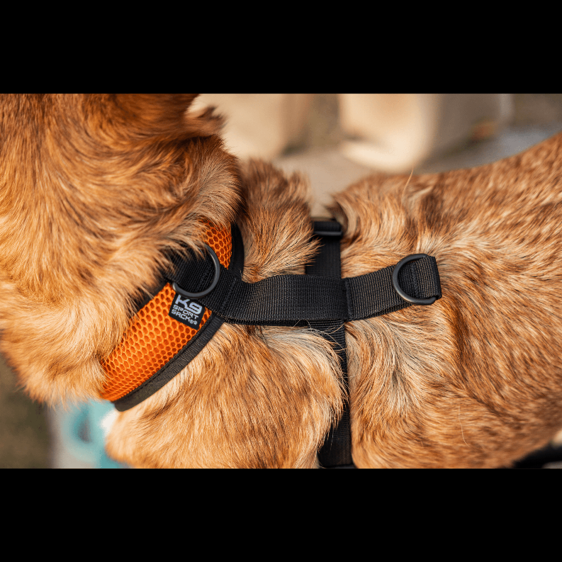 K9 Sport Harness - Luxvetco