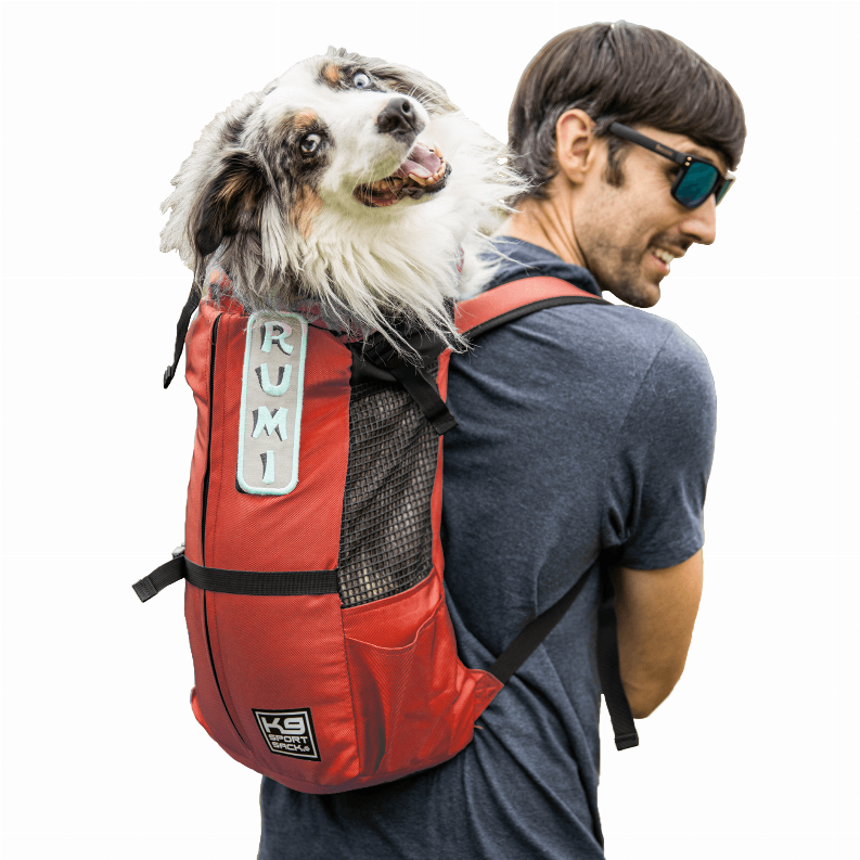 K9 Sport Sack Trainer - Luxvetco