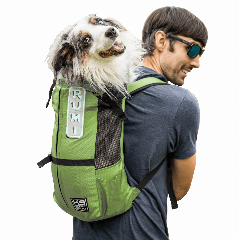 K9 Sport Sack Trainer - Luxvetco
