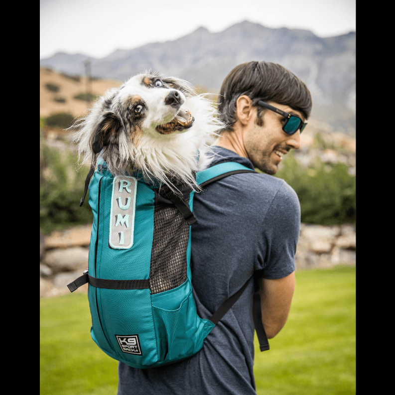 K9 Sport Sack Trainer - Luxvetco