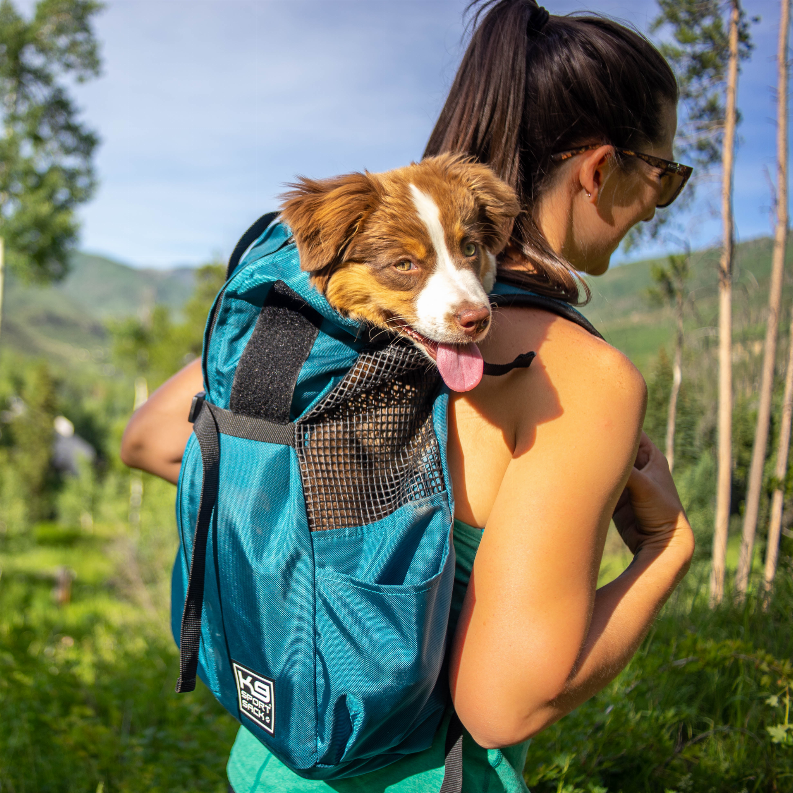 K9 Sport Sack Trainer - Luxvetco