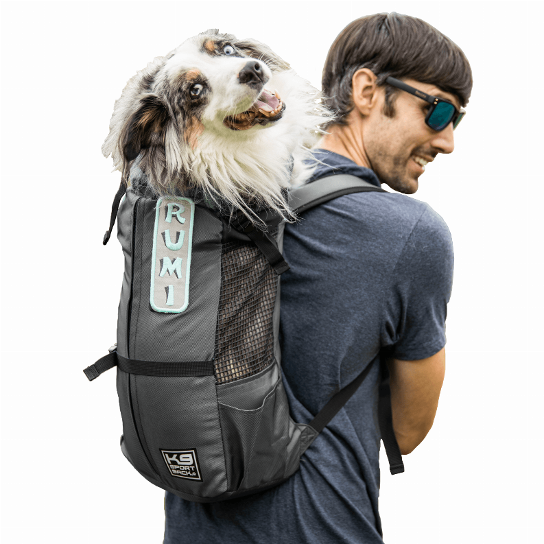 K9 Sport Sack Trainer - Luxvetco