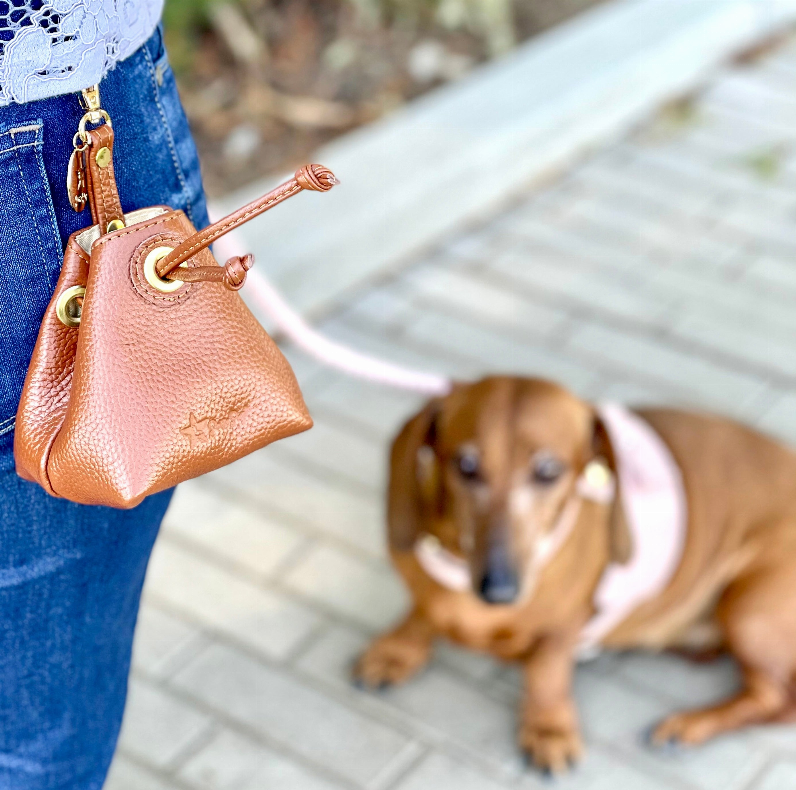 Treat Bag - Luxvetco