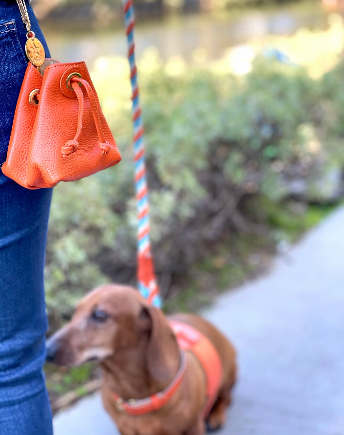 Treat Bag - Luxvetco