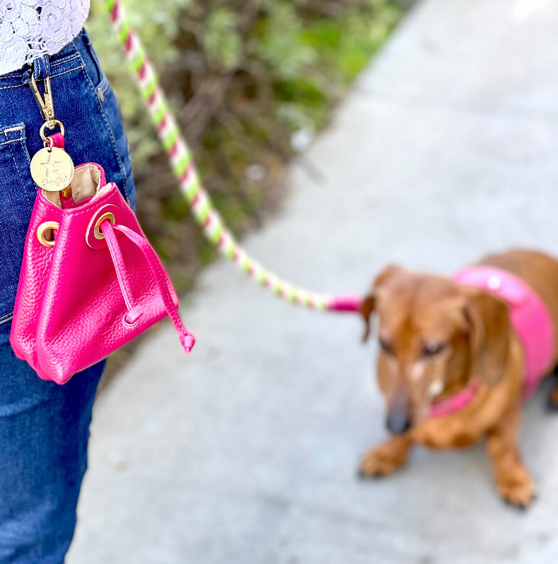 Treat Bag - Luxvetco