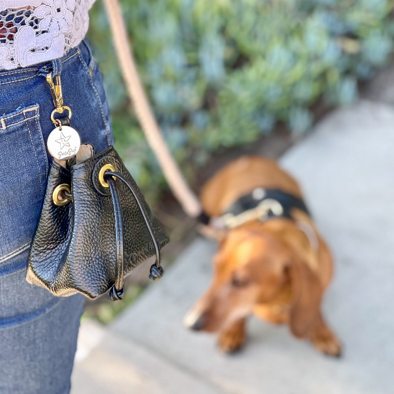 Treat Bag - Luxvetco