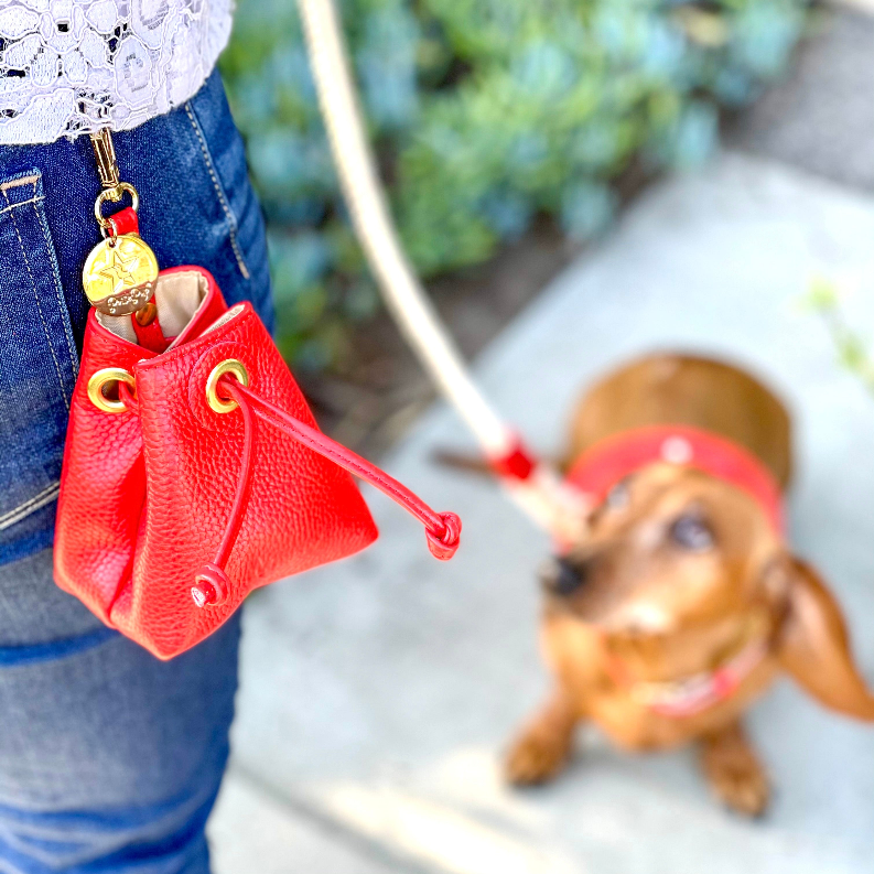 Treat Bag - Luxvetco
