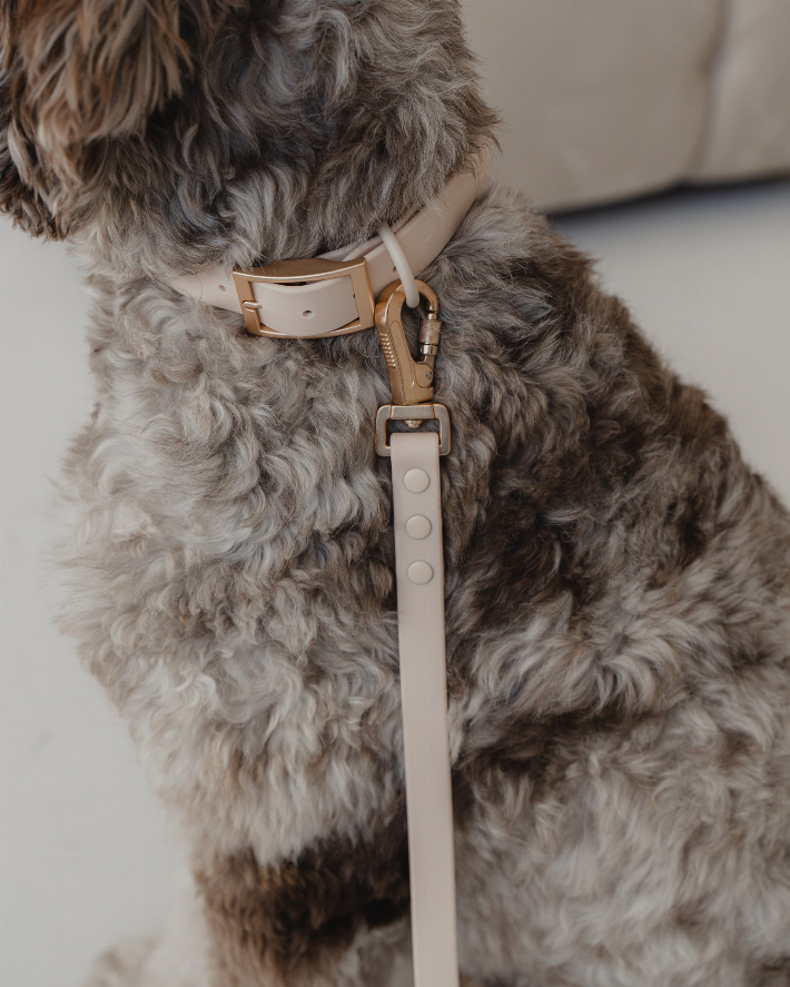 Dexypaws Waterproof Dog Collar - Luxvetco