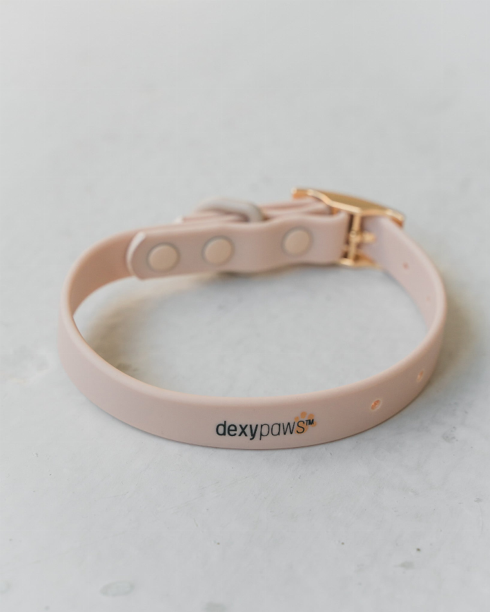 Dexypaws Waterproof Dog Collar - Luxvetco