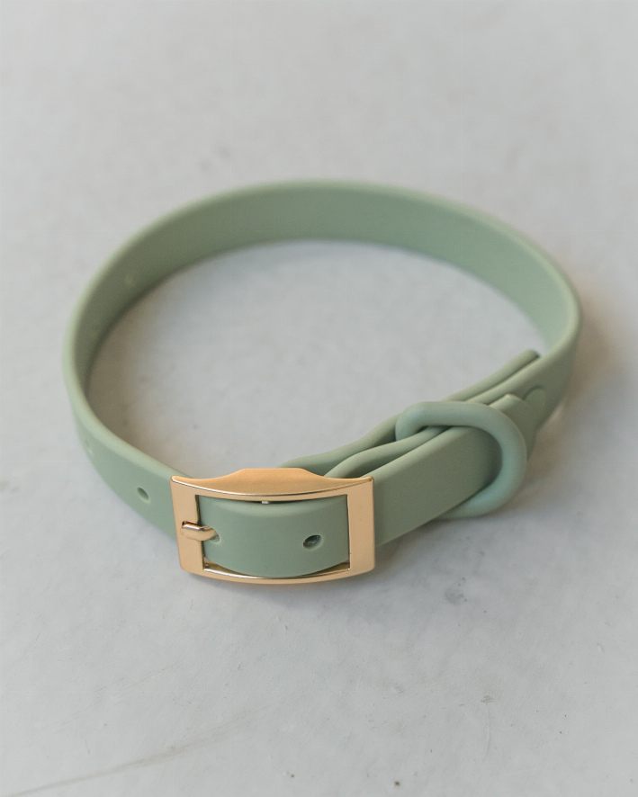 Dexypaws Waterproof Dog Collar - Luxvetco