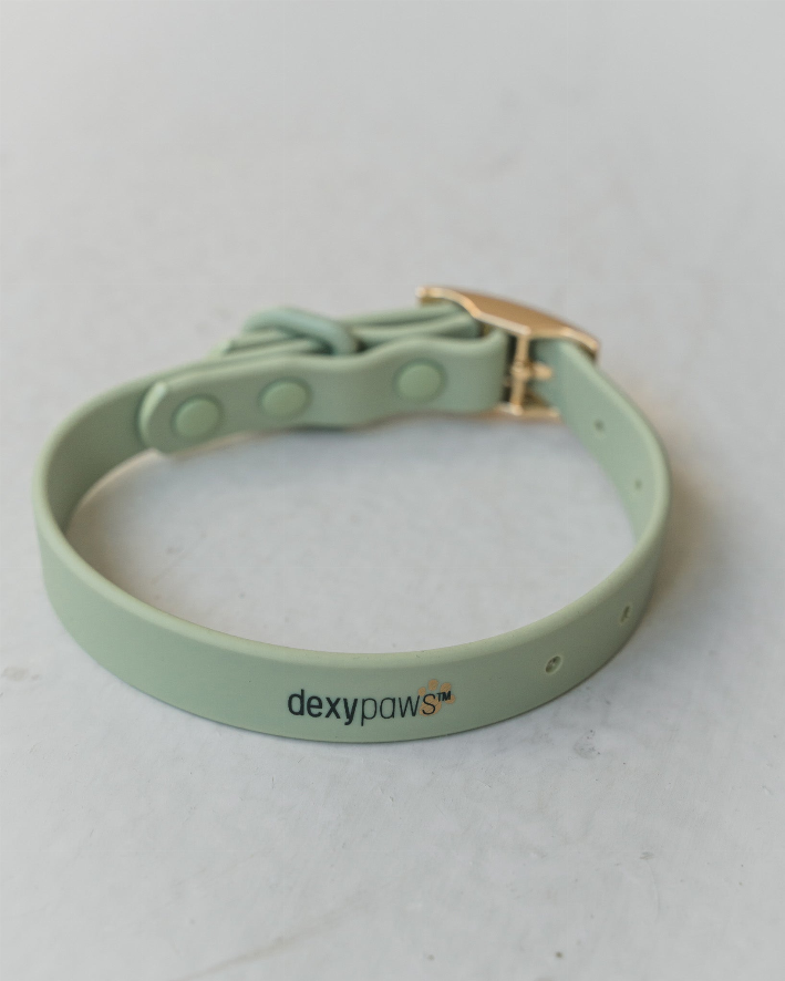 Dexypaws Waterproof Dog Collar - Luxvetco