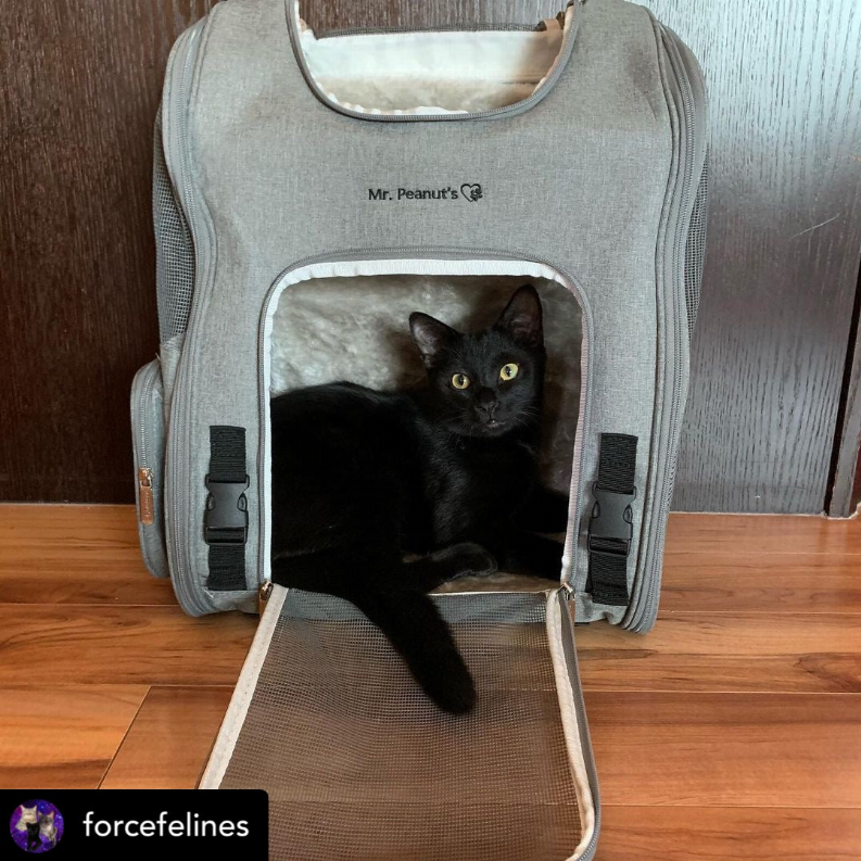 Mr. Peanut's Aspen Series Airline Capable Backpack Pet Carrier - Luxvetco