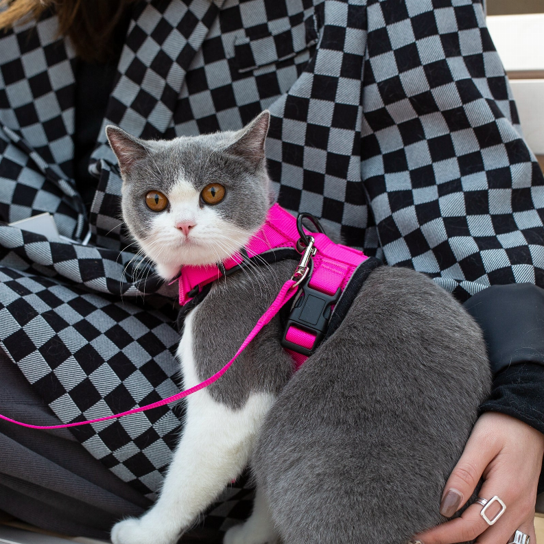 Mr. Peanut's PurrTrek Reflective Cat Harness with Matching Leash - Luxvetco