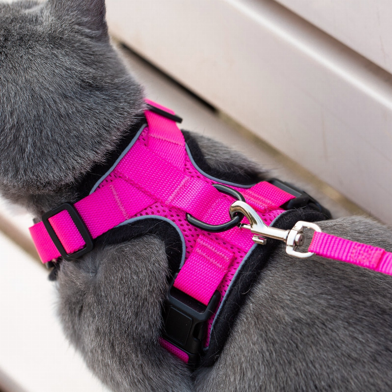 Mr. Peanut's PurrTrek Reflective Cat Harness with Matching Leash - Luxvetco