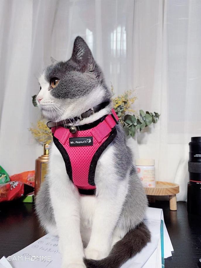 Mr. Peanut's PurrTrek Reflective Cat Harness with Matching Leash - Luxvetco