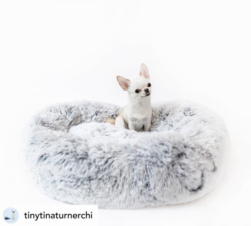 Mr. Peanut's OrthoPlush Pet Bed - Luxvetco