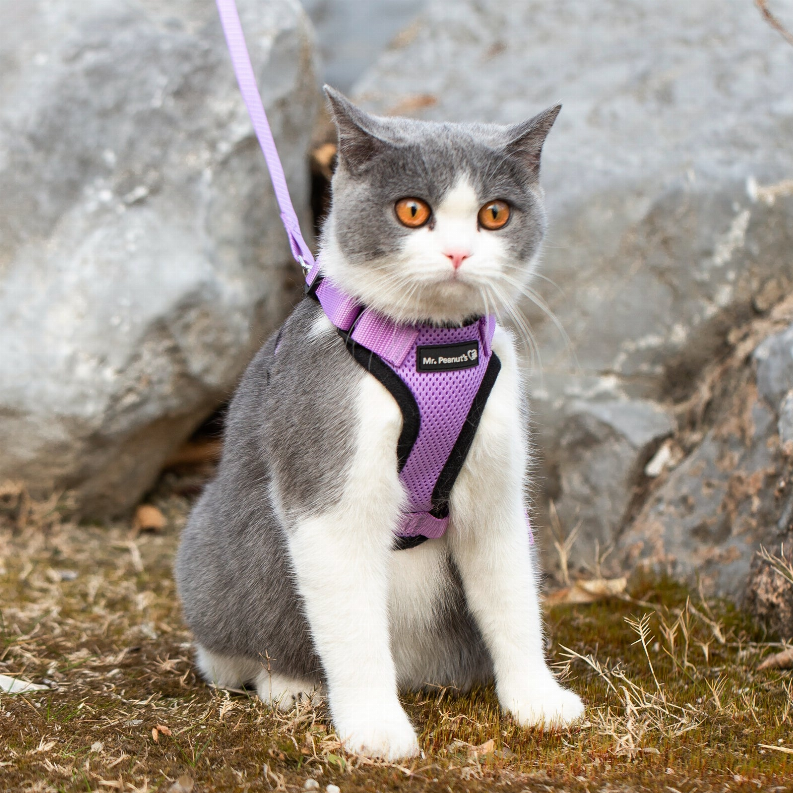 Mr. Peanut's PurrTrek Reflective Cat Harness with Matching Leash - Luxvetco