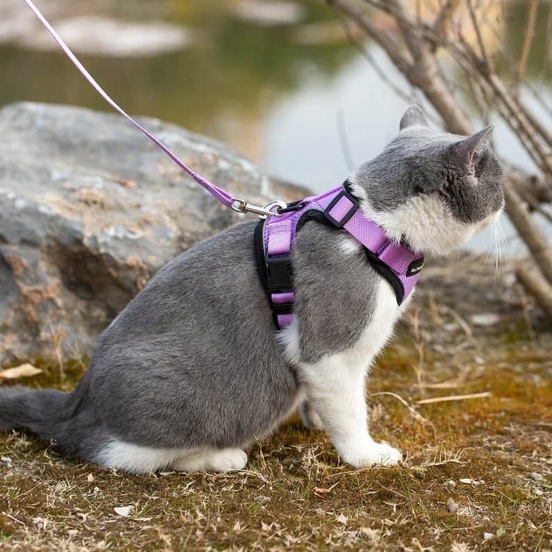 Mr. Peanut's PurrTrek Reflective Cat Harness with Matching Leash - Luxvetco