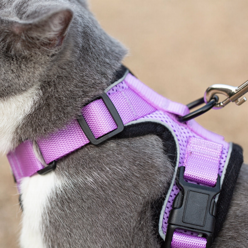 Mr. Peanut's PurrTrek Reflective Cat Harness with Matching Leash - Luxvetco