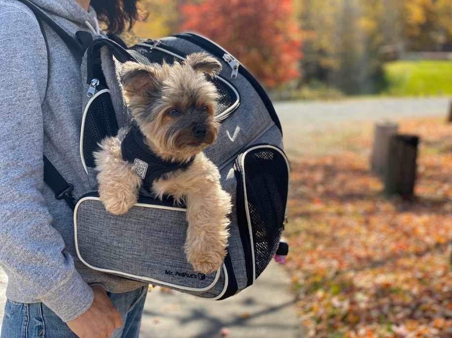 Mr. Peanut's Malibu Series Backpack Pet Carrier Stroller With Detachable Wheelbase - Luxvetco
