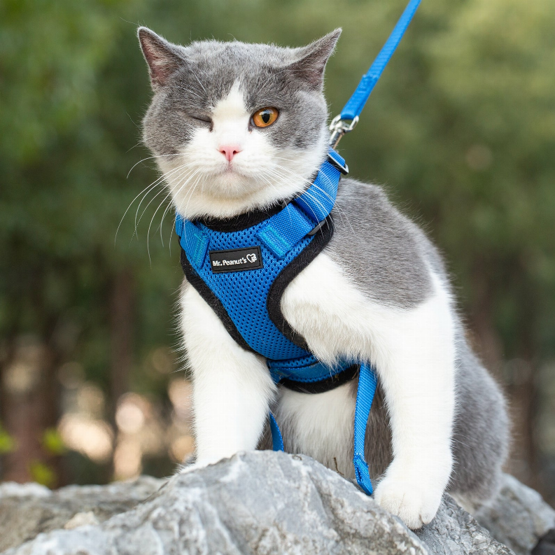 Mr. Peanut's PurrTrek Reflective Cat Harness with Matching Leash - Luxvetco