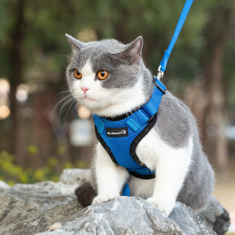 Mr. Peanut's PurrTrek Reflective Cat Harness with Matching Leash - Luxvetco
