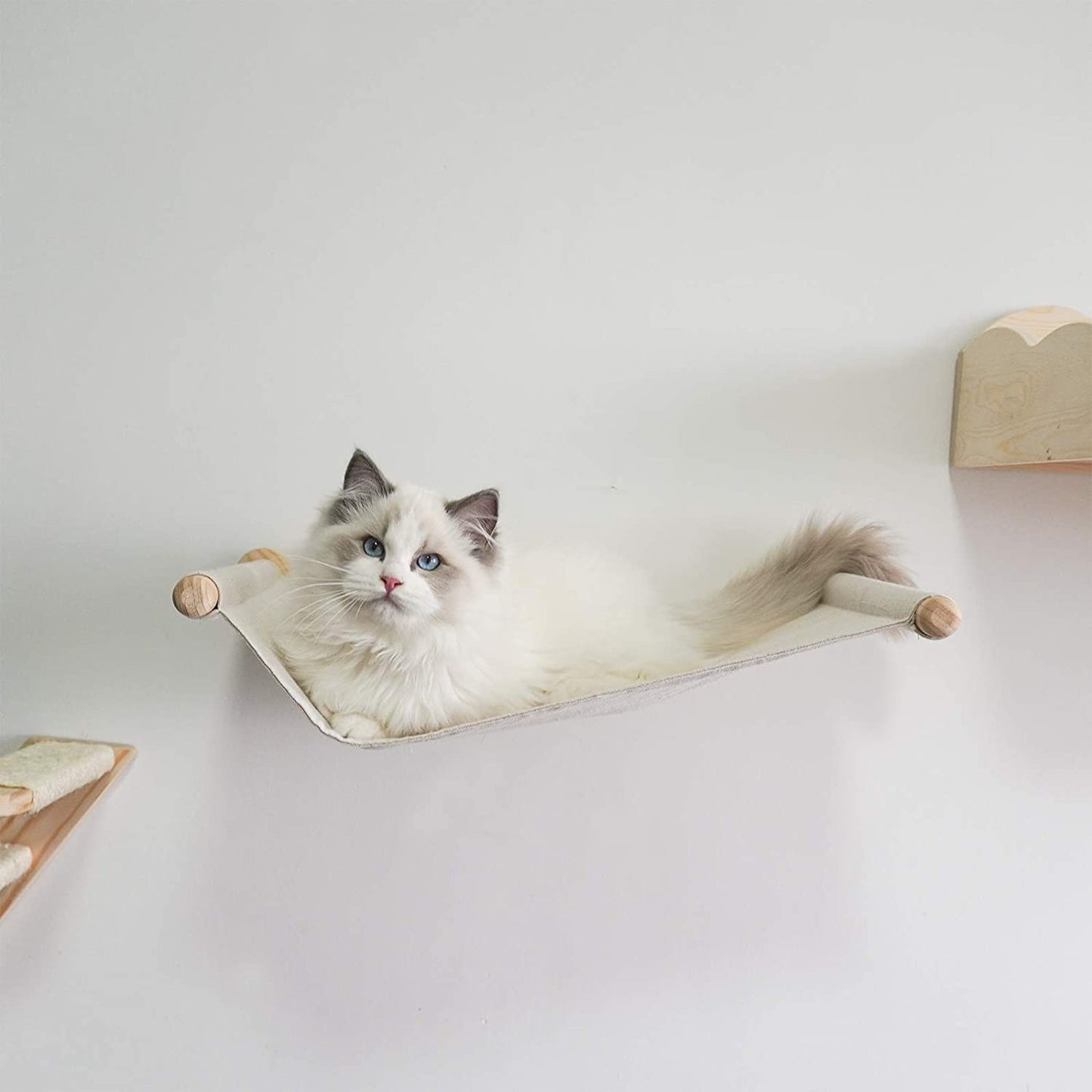 Wooden Cat Hammock Climbing Shelf