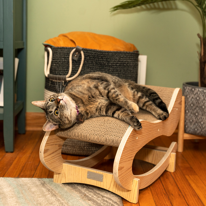 Cat Rocking Chair with Detachable Cat Swing