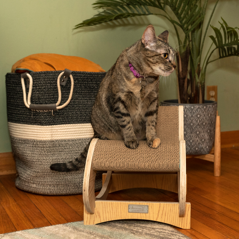 Cat Rocking Chair with Detachable Cat Swing