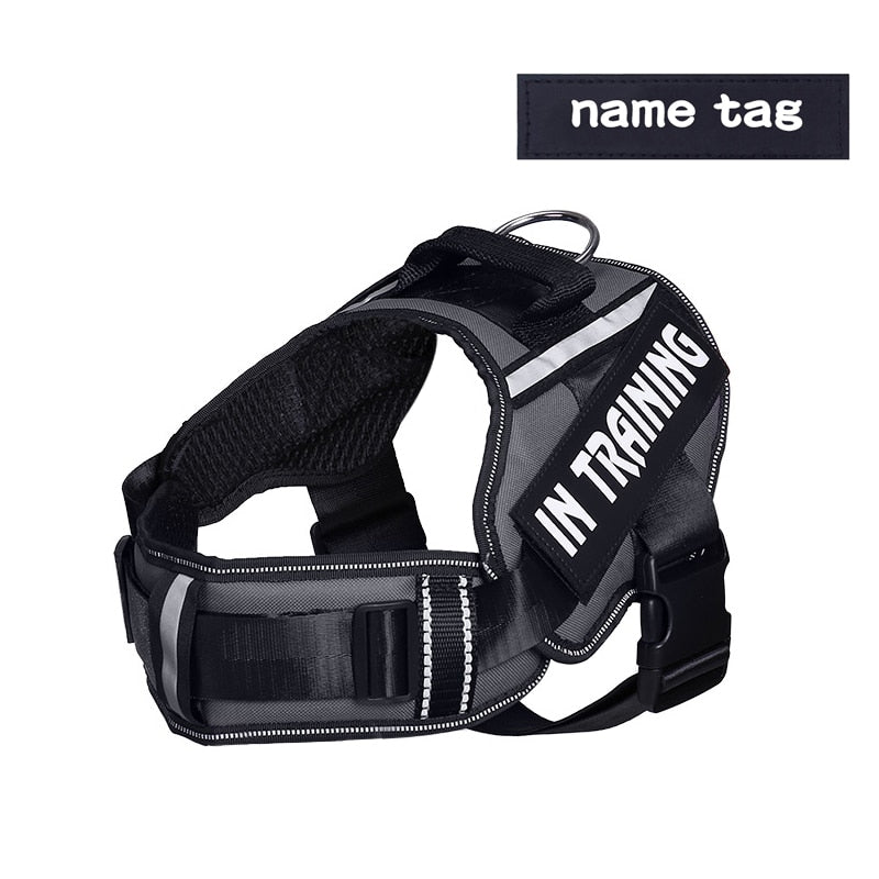 KOMMILIFE Adjustable Nylon Dog Harness Personalized - Luxvetco