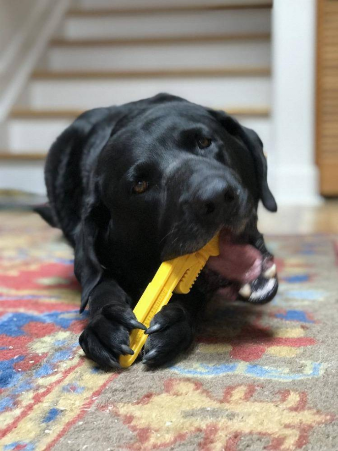 ID Pipe Wrench  Ultra Durable Nylon Dog Chew Toy for Aggressive Chewers - Luxvetco
