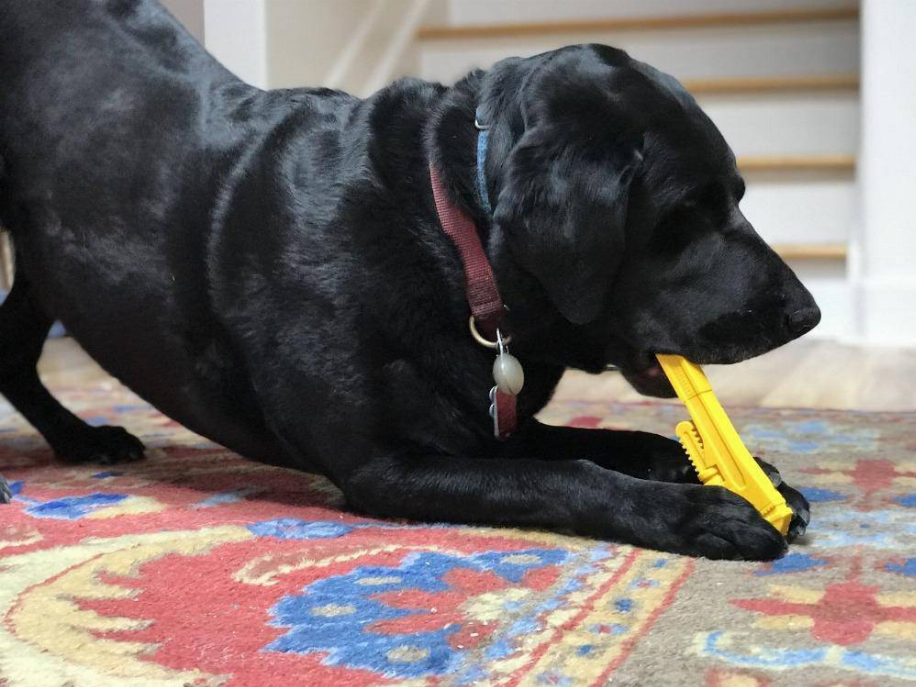 ID Pipe Wrench  Ultra Durable Nylon Dog Chew Toy for Aggressive Chewers - Luxvetco