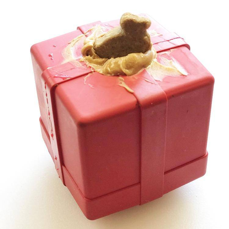 SP Gift Box Durable Rubber Chew Toy & Treat Dispenser - Luxvetco