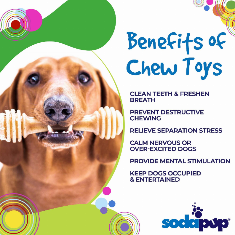 SP Honey Bone Ultra Durable Nylon Dog Chew Toy for Aggressive Chewers - Luxvetco