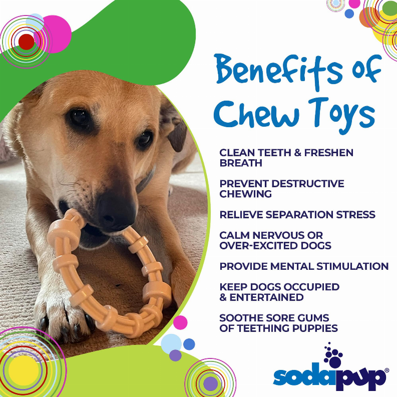 SP Honey Bone Chicken Flavored Teething Ring for Aggressive Chewers - Luxvetco