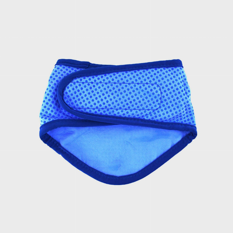 GF Pet  Ice Band  for Summer Months! - Luxvetco