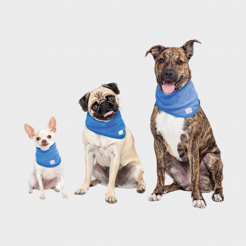 GF Pet  Ice Band  for Summer Months! - Luxvetco