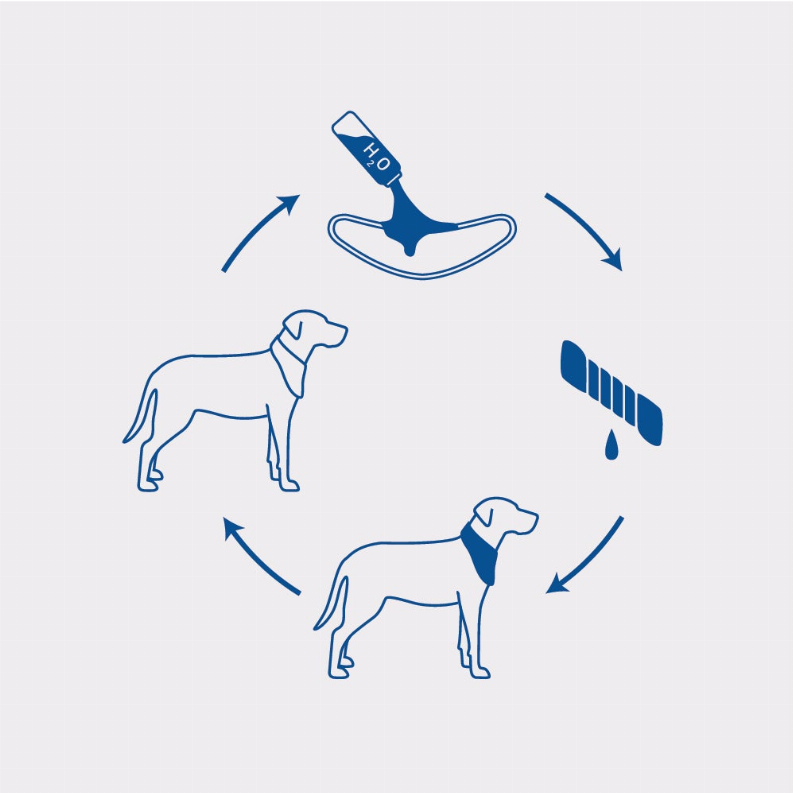 GF Pet  Ice Band  for Summer Months! - Luxvetco
