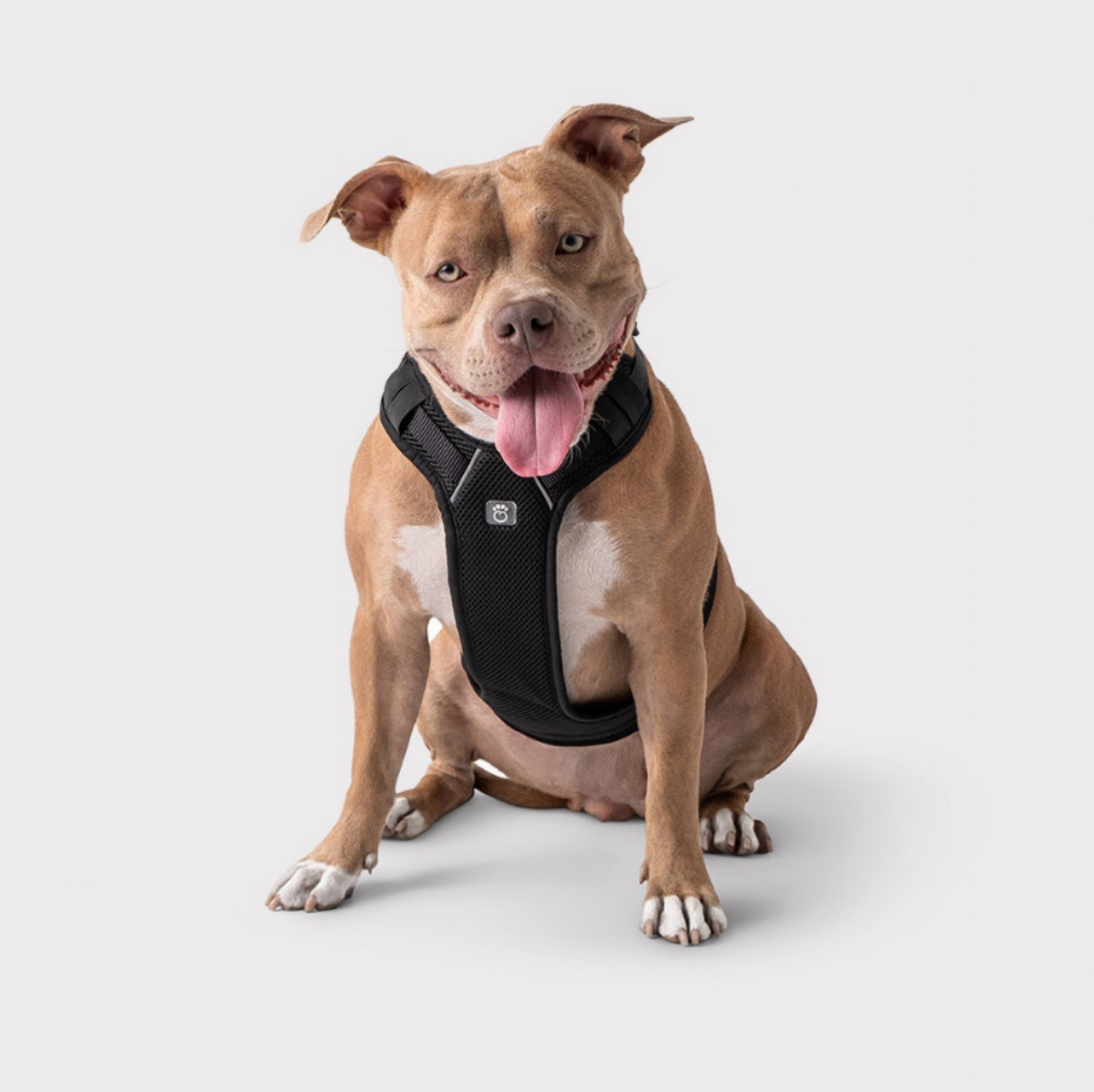 GF Pet  Travel Harness - Luxvetco