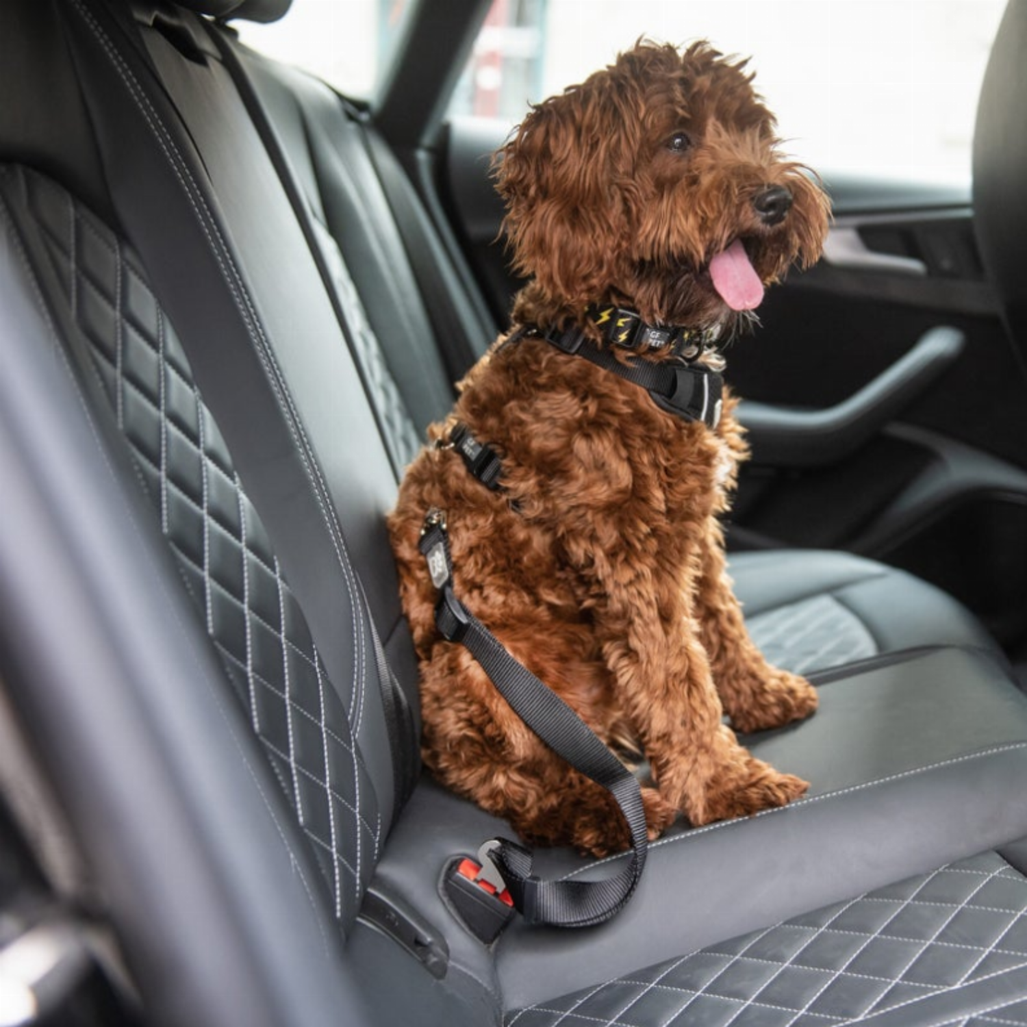 GF Pet Seat Belt Tether Black - Luxvetco