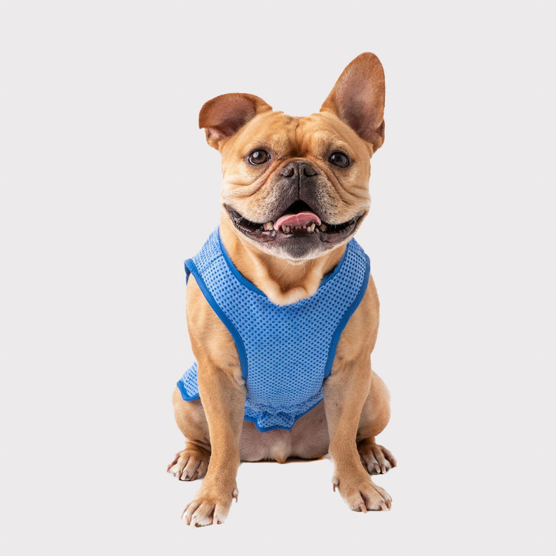 GF Pet ElastoFit Ice Vest - Luxvetco